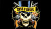 Guns N' Roses: History of the Hard Rock Band