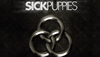 Interview with Sick Puppies