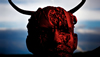 Interview with Slipknot's Chris Fehn or Number 3
