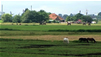 Discover The Culture of The Netherlands