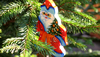 The History of Christmas