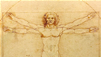 Leonardo Da Vinci Exposed : The Revelation