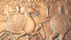 Video Profile on Illyrian Empire