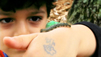 Kids, Bugs And The Outdoors