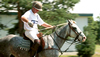 The Sport of Horse Polo: History and Tips