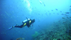 Scuba Diving: Introduction to Underwater Breathing