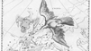 Discover The Northern Constellation of Cygnus