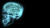 Hypnosis Dissected: Part 1