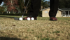 Golf Tips - How To Hit Pitch Shots