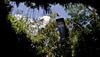 Red Bull Cliff Diving World Series 2011 - The Yucatan Competition Preview