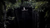 Red Bull Cliff Diving World Series 2011 - Challenges of the Yucatan Competition