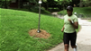 Running Tips for Beginners 