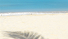 Top Activities in Anguilla