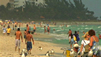 Travel Guide: Florida