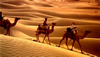 Travel Guide: Unique Activities To Do in India