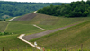 Top Activities in Luxembourg  
