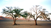 Travel Guide: Namibia - Top Activities