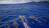 Travel Guide: Portugal - Azores Archipelago