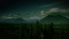 The Nature of Tofino, British Columbia