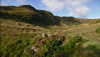 The Landscape of Wales