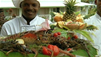 Discover The Culture of The Dominican Republic