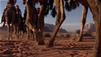 Top 5 Things To See In Jordan