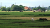 Voyagez aux Pays-Bas