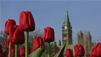 Things To Do in Ottawa