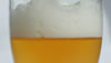 A Microbrew You Can Sip On