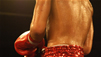 The Basics Of Boxing