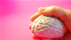 Brain Exercises: Insight Into The Science Of The Real World