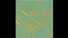 Horoscopes - Signs of the Zodiac: Cancer (06/22 to 07/22)