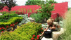 Gardening Tips, Advice and Ideas