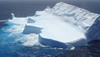 What's Happening To Arctic Ice?