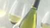 Wine 101 - Whites from South America