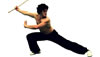 Wushu Martial Arts